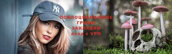 эйфоретик Ростов