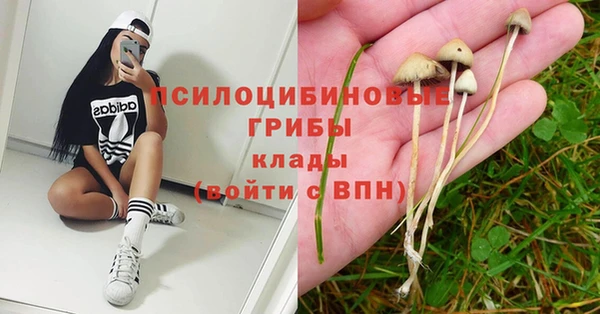 mix Рославль